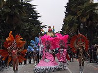Carnevale con ballerine brasiliane